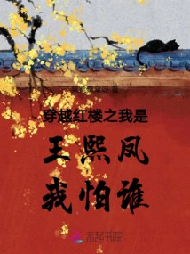 Across the Red Mansion: I Am Wang Xifeng. Who Am I Afraid Of?