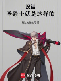 Yes, That's What the Paladin is Like