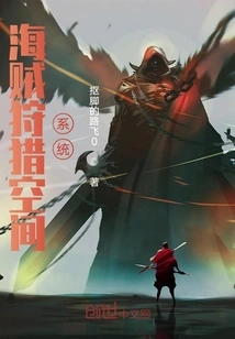 Pirate Hunting Space System