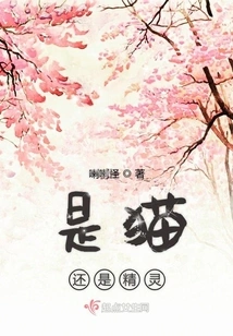 Is it a Cat or an Elf?