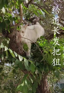 Give Tao Chang a Warning