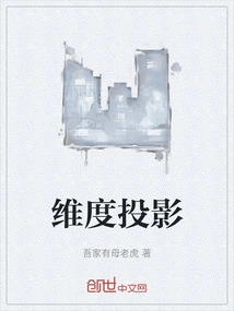 Dimensional Projection