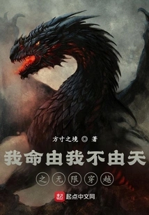 My Destiny is Determined by Me and Not by the Infinite Travel of Heaven