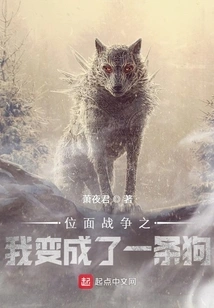 Plane War: I Turned into a Dog