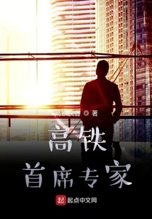 Chief Expert on High-speed Rail