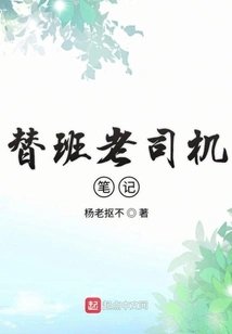 Notes from a Substitute Veteran Driver