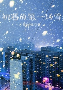 The First Snow I Encountered