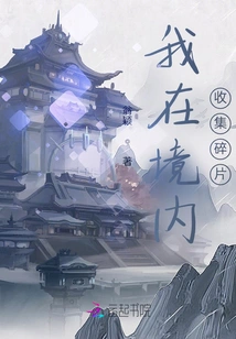 I Collect Debris Within the Territory