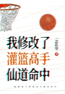 I Modified the Slam Dunk Sendo Hit