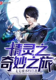 The Wonderful Journey of the Elf