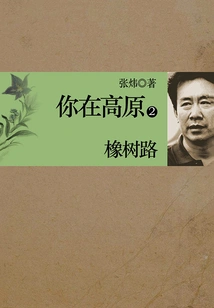 You're in Plateau 2: Oak Road