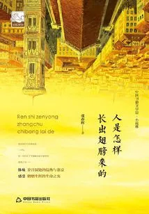 How Do People Grow Wings?