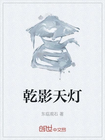 Dry Shadow Sky Lantern