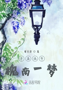 Half a Fleeting Year: a Dream in Huainan