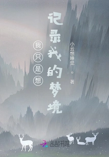 I Just Want to Record My Dreams