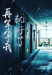 I'll Be Fine If You Wait a Little Longer