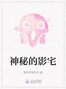 The Mysterious Shadow House