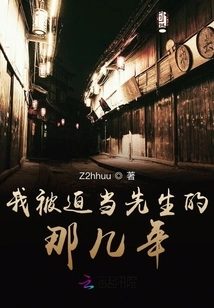 The Years When I Was Forced to Be Mr