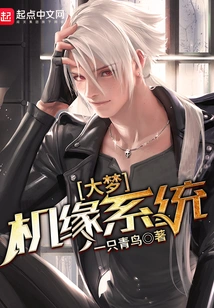 Big Dream Opportunity System