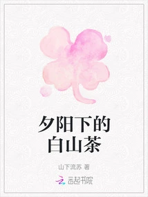 White Camellia at Sunset