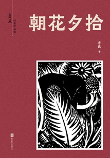 Youjian Library: Picking up Flowers in the Morning and Evening