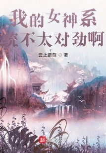 There's Something Wrong with My Goddess System