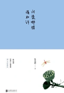 Ask Him How He Got it so Clear (photo and Text Collector's Edition)