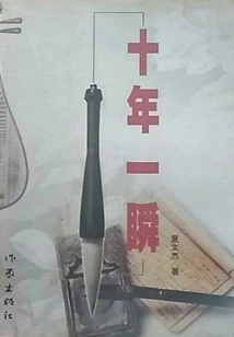 Ten Years in a Flash