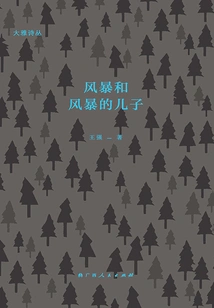 The Storm and the Son of the Storm