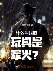 What Do You Mean My Toys Are Arms?