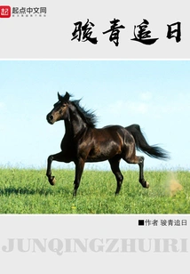 Junqing Chasing the Sun