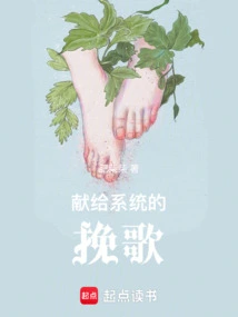 An Elegy to the System