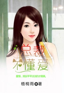 The Ceo Doesn't Understand Love