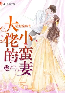 The Boss's Little Wild Wife