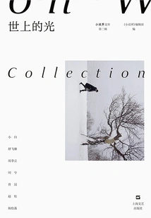 The Light of the World (second Series of "novel World Library")