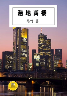 High-rise Buildings Everywhere (a Good Chinese Novel)