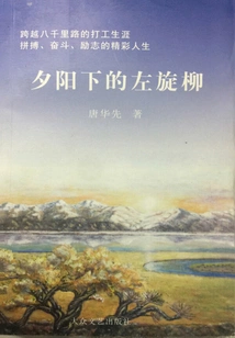 Willow in the Sunset