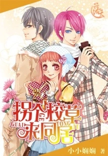 Get a School Girl to Fall in Love With