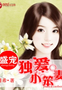 Sheng Chong's Only Beloved Little Stupid Wife