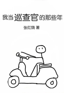 My Years as an Inspector