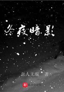 Winter Night Shadows