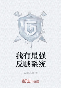 I Have the Strongest Anti-thief System