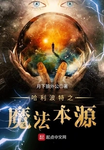 Harry Potter: the Origin of Magic