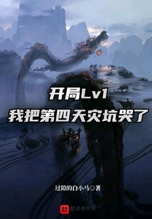 At the Beginning of Level 1, I Cried Because of the Fourth Natural Disaster