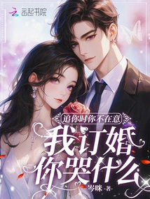 You Didn't Care When I Was Chasing You, Why Are You Crying When I'm Engaged?