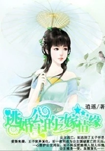 The Third Marriage of a Princess Who Escaped from Marriage