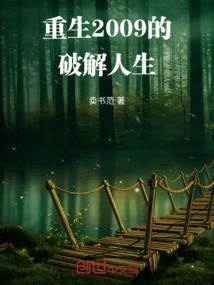 The Cracked Life of Rebirth 2009