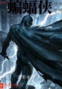 Dc Comics: Batman Dark Dawn