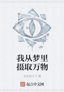 I Absorb Everything from Dreams