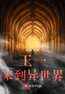 Wang Yi Came to Another World